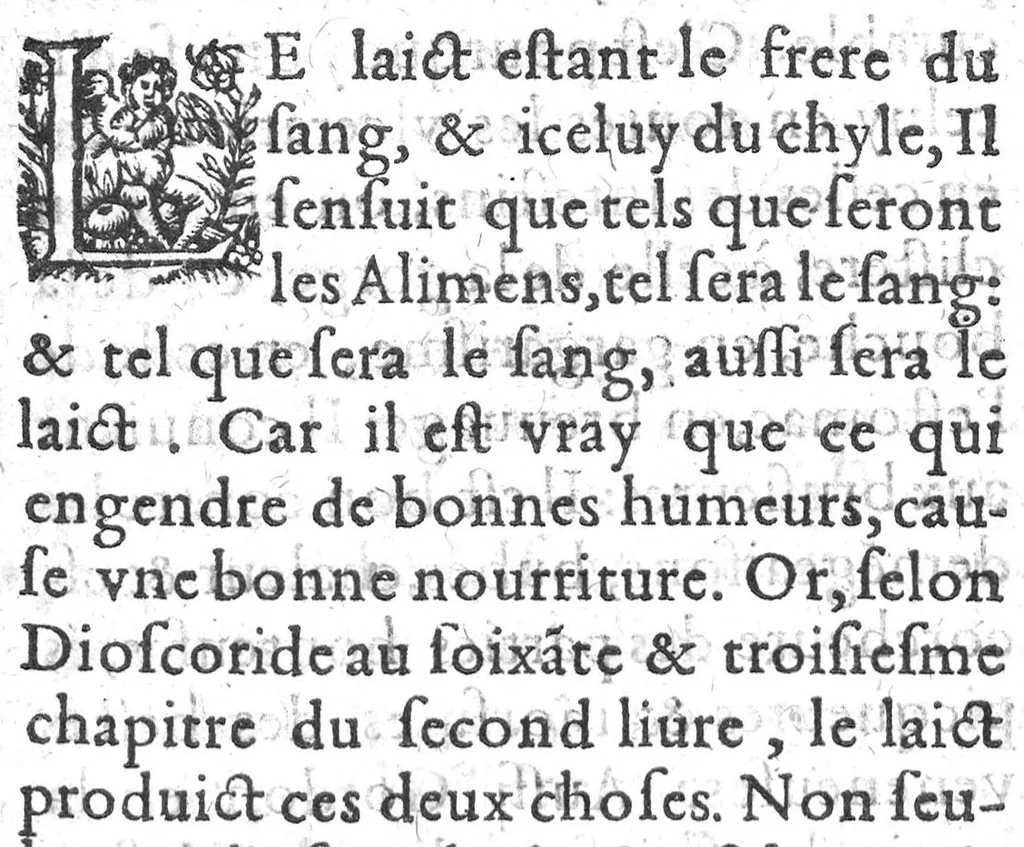 An illustration from Recueil de problemes medicinaux et chirurgicaux,, 1617, leaf 14