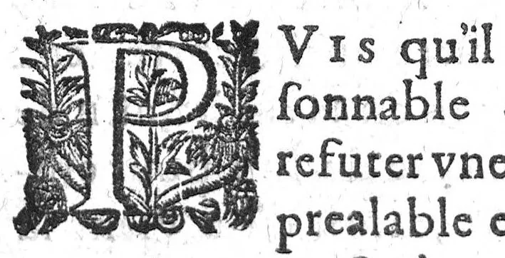 An illustration from Question chirurgicale par laquelle il est démontré que le chirurgien doit assurement pratiquer l'operation de la bronchotomie,..., 1620, leaf 14