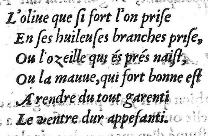 An illustration from Les secrets miracles de nature, et divers enseignemens de plusieurs choses, par raison probable et utile conjecture expliquez en deux livres, Par Levin Lemne, Medecin de Zirizee : et nouvellement traduits en François : Ensemble deux Indices, l’un contenant les sommaires des chapitres, l’autre les matieres contenues au present traité, 1566, leaf 423
