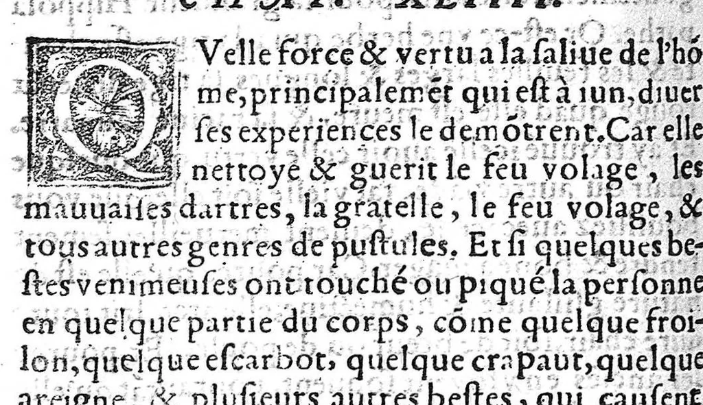 An illustration from Les secrets miracles de nature, et divers enseignemens de plusieurs choses, par raison probable et utile conjecture expliquez en deux livres, Par Levin Lemne, Medecin de Zirizee : et nouvellement traduits en François : Ensemble deux Indices, l’un contenant les sommaires des chapitres, l’autre les matieres contenues au present traité, 1566, leaf 423