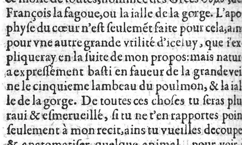 An illustration from De l’usage des parties du corps humain, Livres XVII. Escripts par Claude Galien, et traduicts fidellement du Grec en François, 1566, leaf 325