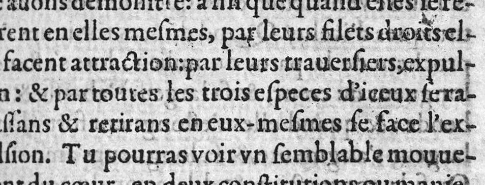 An illustration from De l’usage des parties du corps humain, Livres XVII. Escripts par Claude Galien, et traduicts fidellement du Grec en François, 1566, leaf 338