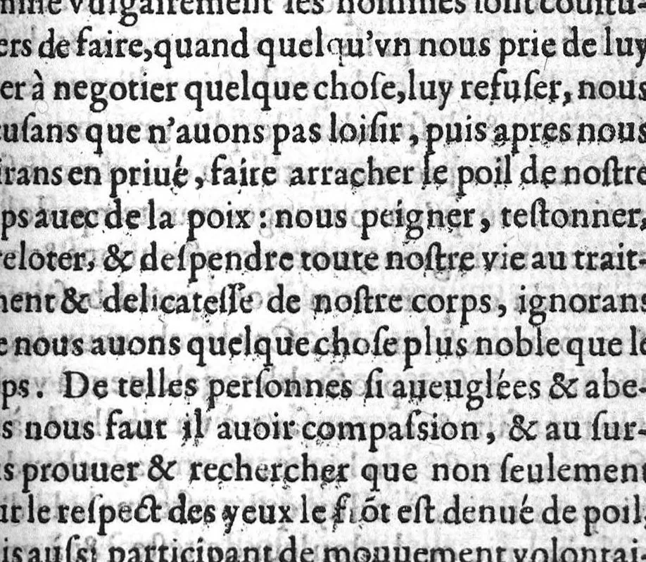An illustration from De l’usage des parties du corps humain, Livres XVII. Escripts par Claude Galien, et traduicts fidellement du Grec en François, 1566, leaf 684