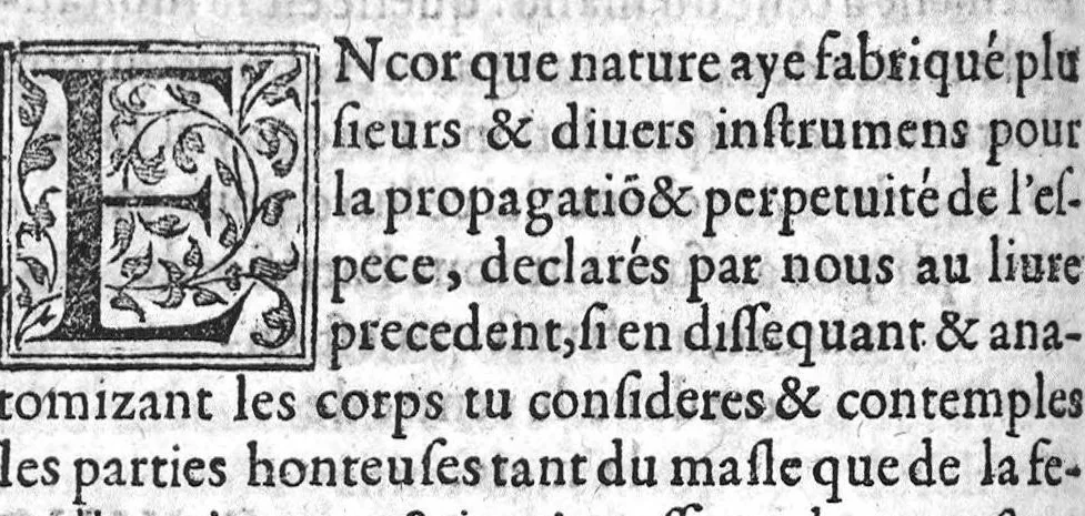 An illustration from De l’usage des parties du corps humain, Livres XVII. Escripts par Claude Galien, et traduicts fidellement du Grec en François, 1566, leaf 875