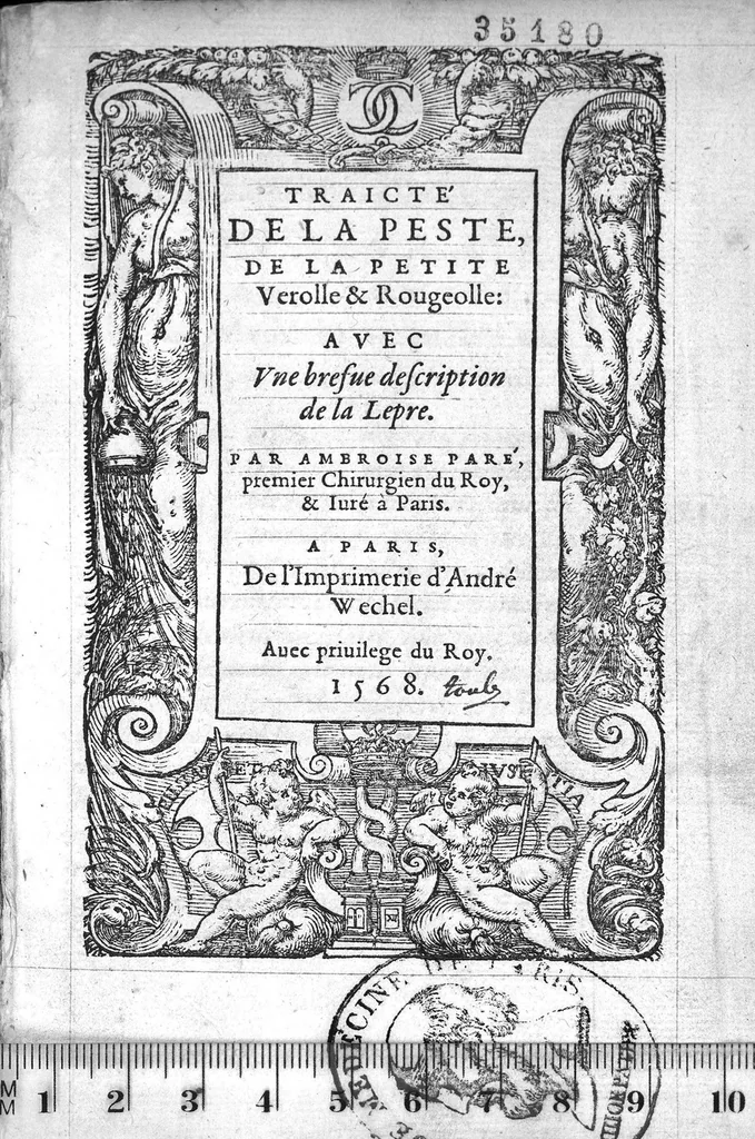 An illustration from Traicté de la Peste, de la petite Verolle et Rougeolle : avec une briefve description de la Lepre. Par Ambroise Paré, premier Chirurgien du Roy et Juré à Paris, 1568, leaf 0
