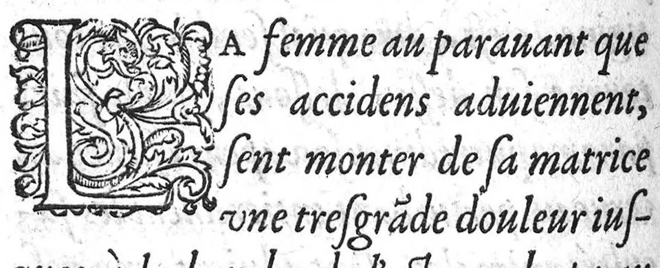 An illustration from Deux livres de chirurgie, I. De la generation de l’homme, et maniere d’extraire les enfans hors du ventre de la mere, ensemble ce qu’il faut faire pour la faire mieux, et plus tost accoucher, avec la cure de plusieurs maladies qui luy peuvent survenir. 2. Des monstres tant terrestres que marins, avec leurs portrait. Plus un petit traité des plaies faites aux parties nerveuses. Par Ambroise Paré, premier Chirurgien du Roy, et juré à Paris,, 1573, leaf 251