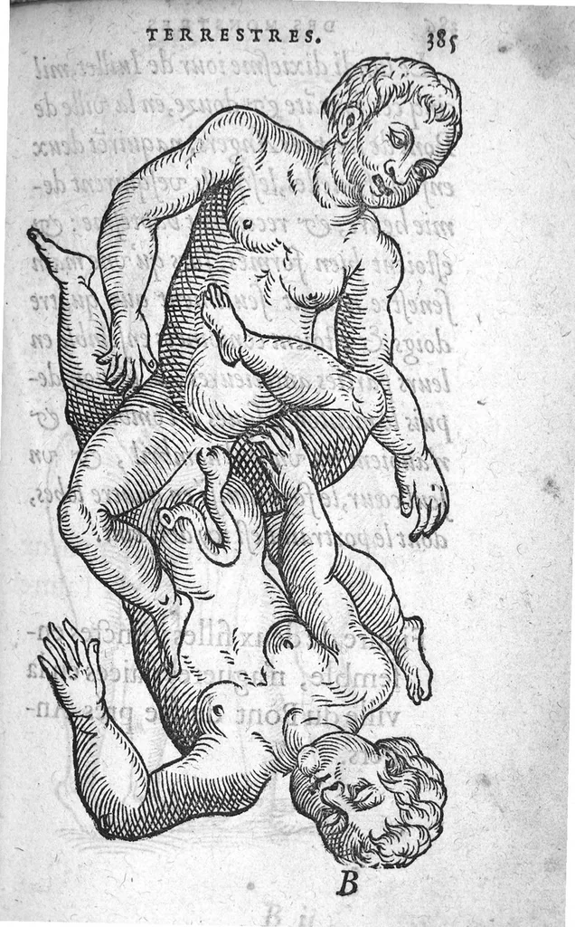 An illustration from Deux livres de chirurgie, I. De la generation de l’homme, et maniere d’extraire les enfans hors du ventre de la mere, ensemble ce qu’il faut faire pour la faire mieux, et plus tost accoucher, avec la cure de plusieurs maladies qui luy peuvent survenir. 2. Des monstres tant terrestres que marins, avec leurs portrait. Plus un petit traité des plaies faites aux parties nerveuses. Par Ambroise Paré, premier Chirurgien du Roy, et juré à Paris,, 1573, leaf 404