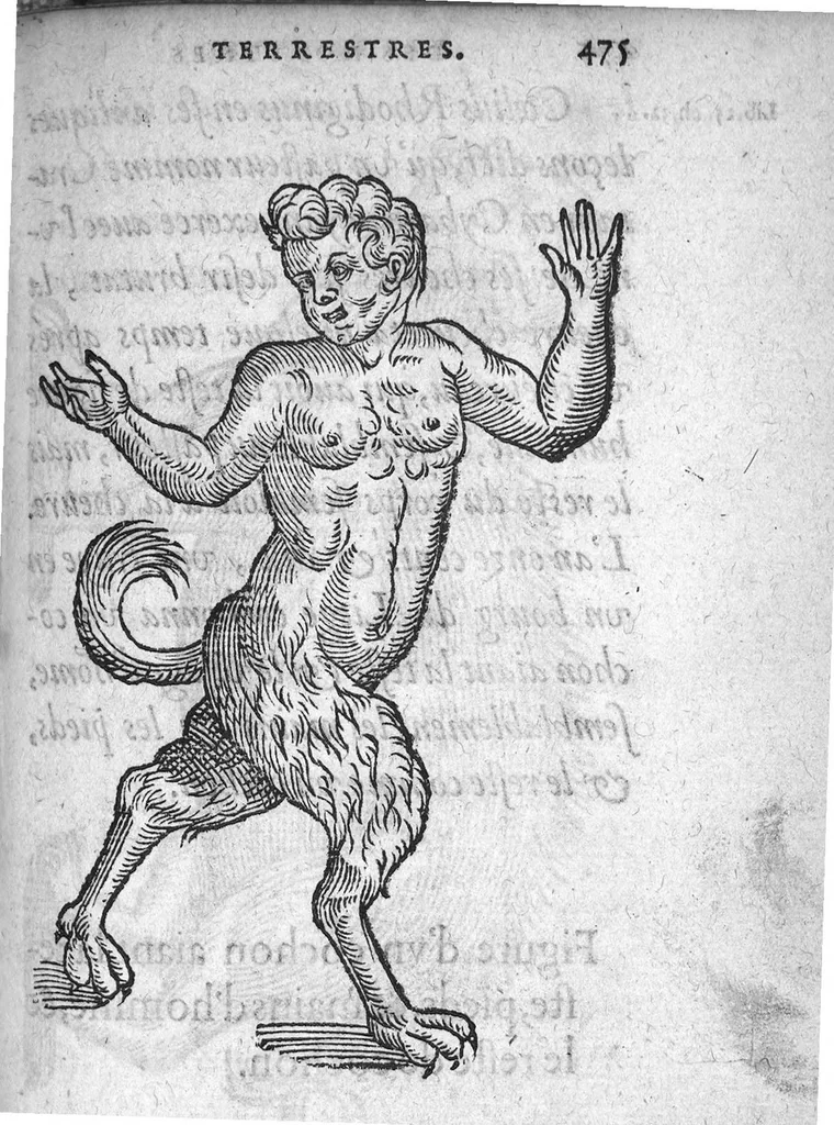 An illustration from Deux livres de chirurgie, I. De la generation de l’homme, et maniere d’extraire les enfans hors du ventre de la mere, ensemble ce qu’il faut faire pour la faire mieux, et plus tost accoucher, avec la cure de plusieurs maladies qui luy peuvent survenir. 2. Des monstres tant terrestres que marins, avec leurs portrait. Plus un petit traité des plaies faites aux parties nerveuses. Par Ambroise Paré, premier Chirurgien du Roy, et juré à Paris,, 1573, leaf 494
