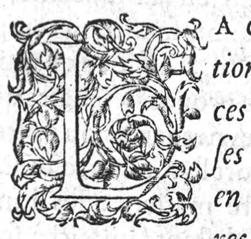 An illustration from Deux livres de chirurgie, I. De la generation de l’homme, et maniere d’extraire les enfans hors du ventre de la mere, ensemble ce qu’il faut faire pour la faire mieux, et plus tost accoucher, avec la cure de plusieurs maladies qui luy peuvent survenir. 2. Des monstres tant terrestres que marins, avec leurs portrait. Plus un petit traité des plaies faites aux parties nerveuses. Par Ambroise Paré, premier Chirurgien du Roy, et juré à Paris,, 1573, leaf 601
