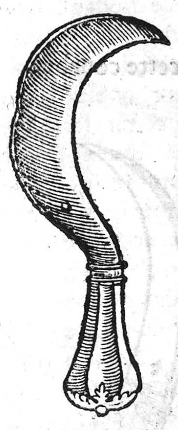 An illustration from La maniere de traicter les playes faictes tant par hacquebutes, que par fleches : et les accidentz d’icelles, comme fractures et caries des os, gangrene et mortification : avec les pourtraictz des instrumentz necessaires pour leur curation. Et la methode de curer les combustions principalement faictes par la pouldre à canon. Le tout composé par Ambroise Paré, maistre Barbier Chirurgien à Paris, 1552, leaf 136