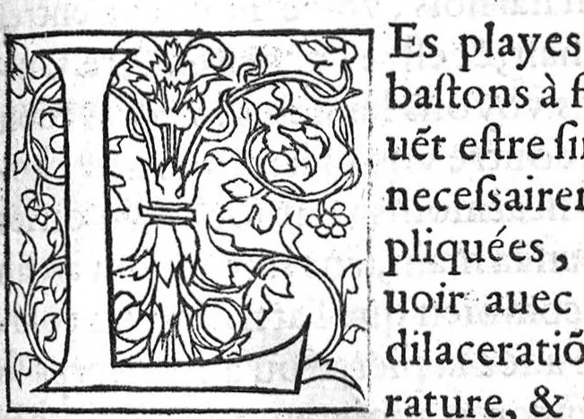 An illustration from La maniere de traicter les playes faictes tant par hacquebutes, que par fleches : et les accidentz d’icelles, comme fractures et caries des os, gangrene et mortification : avec les pourtraictz des instrumentz necessaires pour leur curation. Et la methode de curer les combustions principalement faictes par la pouldre à canon. Le tout composé par Ambroise Paré, maistre Barbier Chirurgien à Paris, 1552, leaf 16