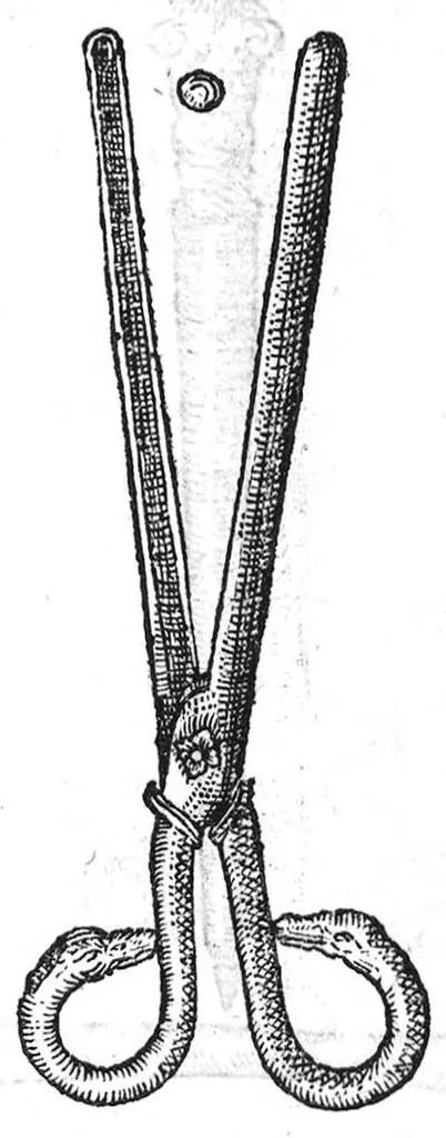 An illustration from La maniere de traicter les playes faictes tant par hacquebutes, que par fleches : et les accidentz d’icelles, comme fractures et caries des os, gangrene et mortification : avec les pourtraictz des instrumentz necessaires pour leur curation. Et la methode de curer les combustions principalement faictes par la pouldre à canon. Le tout composé par Ambroise Paré, maistre Barbier Chirurgien à Paris, 1552, leaf 26