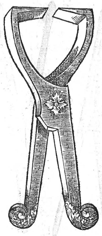 An illustration from La maniere de traicter les playes faictes tant par hacquebutes, que par fleches : et les accidentz d’icelles, comme fractures et caries des os, gangrene et mortification : avec les pourtraictz des instrumentz necessaires pour leur curation. Et la methode de curer les combustions principalement faictes par la pouldre à canon. Le tout composé par Ambroise Paré, maistre Barbier Chirurgien à Paris, 1552, leaf 28