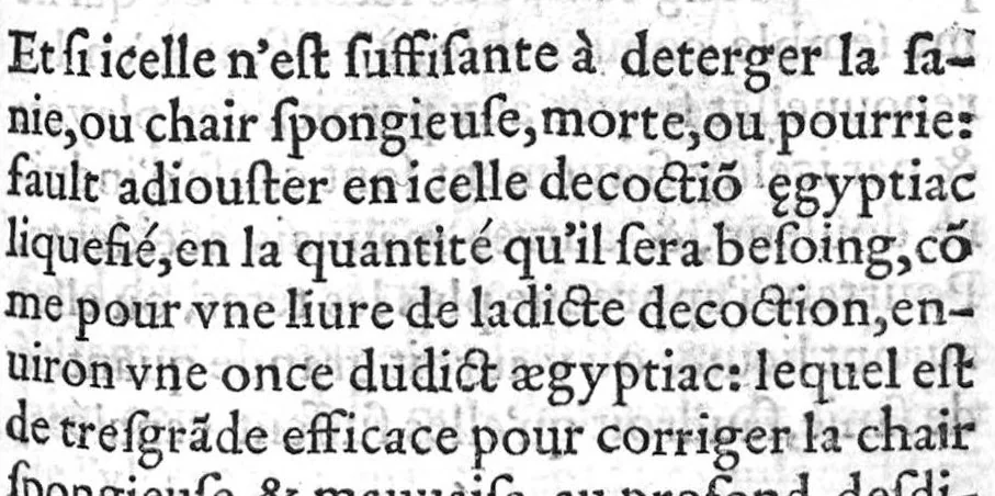 An illustration from La maniere de traicter les playes faictes tant par hacquebutes, que par fleches : et les accidentz d’icelles, comme fractures et caries des os, gangrene et mortification : avec les pourtraictz des instrumentz necessaires pour leur curation. Et la methode de curer les combustions principalement faictes par la pouldre à canon. Le tout composé par Ambroise Paré, maistre Barbier Chirurgien à Paris, 1552, leaf 36