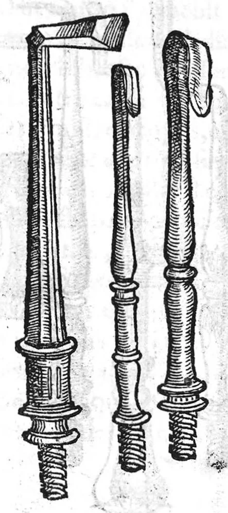 An illustration from La maniere de traicter les playes faictes tant par hacquebutes, que par fleches : et les accidentz d’icelles, comme fractures et caries des os, gangrene et mortification : avec les pourtraictz des instrumentz necessaires pour leur curation. Et la methode de curer les combustions principalement faictes par la pouldre à canon. Le tout composé par Ambroise Paré, maistre Barbier Chirurgien à Paris, 1552, leaf 89