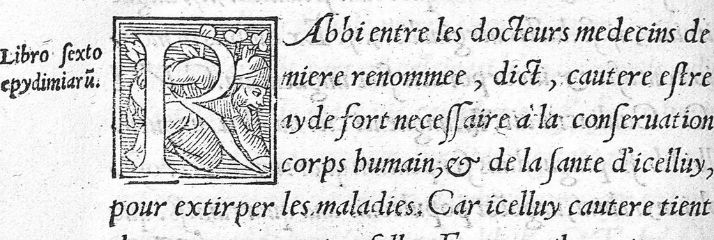 An illustration from La Practique de Maistre Pierre Bocellin, chyrurgien et citoyen de la noble cité de Belleys en Savoye, sur la matière de la contagieuse et infective maladie de lèpre, 1540, leaf 81