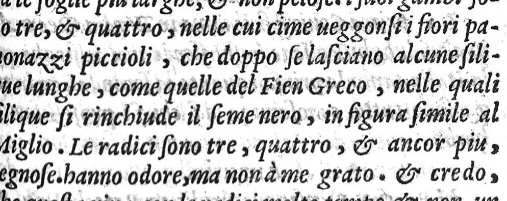 An illustration from Semplici dell' eccellente M. Luigi Anguillara, liquali in piu pareri a diuersi nobili huomini scritti appaiono, et nuouamente da M. Giovanni Marinello mandati in luce, 1551, leaf 228
