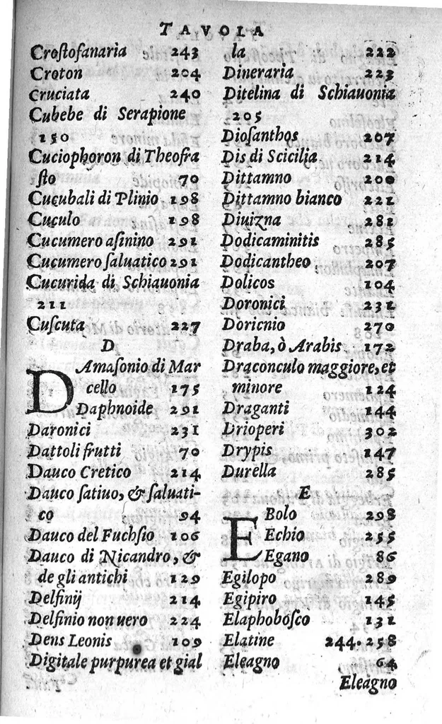 An illustration from Semplici dell' eccellente M. Luigi Anguillara, liquali in piu pareri a diuersi nobili huomini scritti appaiono, et nuouamente da M. Giovanni Marinello mandati in luce, 1551, leaf 314