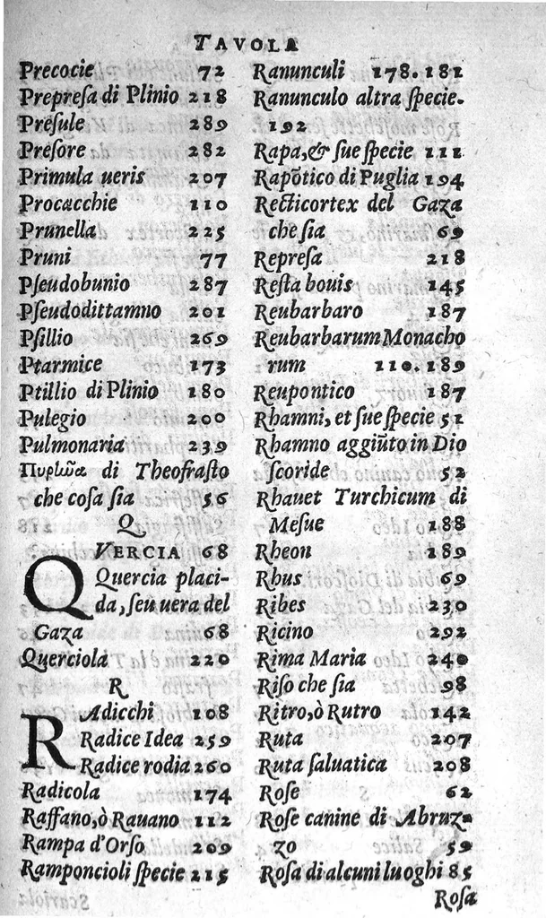An illustration from Semplici dell' eccellente M. Luigi Anguillara, liquali in piu pareri a diuersi nobili huomini scritti appaiono, et nuouamente da M. Giovanni Marinello mandati in luce, 1551, leaf 328