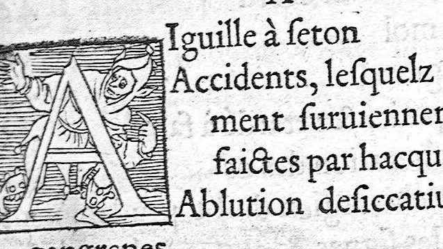 An illustration from La Méthode de traicter les playes faictes par hacquebutes et aultres bastons à feu et de celles qui sont faictes par flèches, dardz et semblables, aussy des combustions spécialement faictes par la pouldre à canon, composée par Ambroyse Paré,..., 1545, leaf 123
