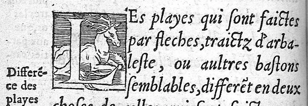 An illustration from La Méthode de traicter les playes faictes par hacquebutes et aultres bastons à feu et de celles qui sont faictes par flèches, dardz et semblables, aussy des combustions spécialement faictes par la pouldre à canon, composée par Ambroyse Paré,..., 1545, leaf 60