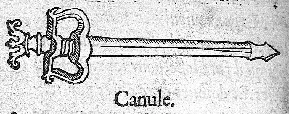 An illustration from La Méthode de traicter les playes faictes par hacquebutes et aultres bastons à feu et de celles qui sont faictes par flèches, dardz et semblables, aussy des combustions spécialement faictes par la pouldre à canon, composée par Ambroyse Paré,..., 1545, leaf 62