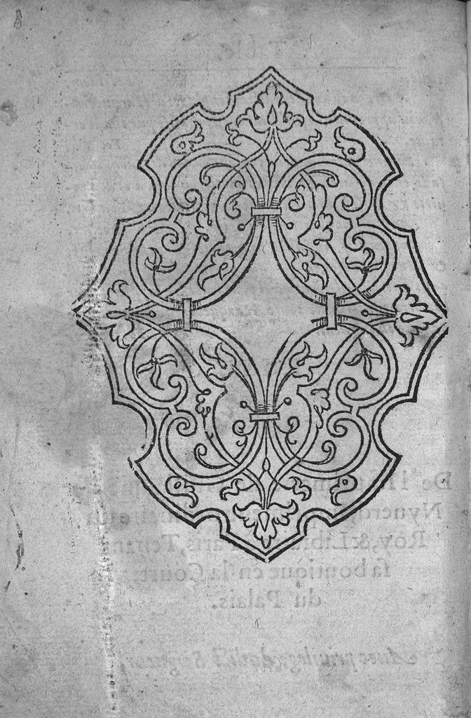 An illustration from Traicté de la nature et curation des playes de Pistolle, Harquebouse, et autres bastons à feu. Ensemble, les remedes des combustions et bruslures externes et superficielles : Par J. Le P. Docteur en Medecine, 1569, leaf 127