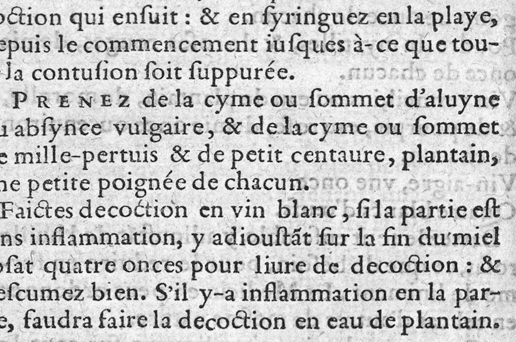 An illustration from Traicté de la nature et curation des playes de Pistolle, Harquebouse, et autres bastons à feu. Ensemble, les remedes des combustions et bruslures externes et superficielles : Par J. Le P. Docteur en Medecine, 1569, leaf 65