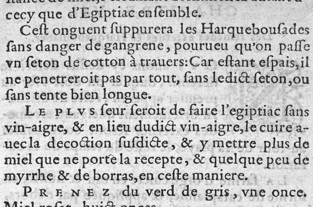 An illustration from Traicté de la nature et curation des playes de Pistolle, Harquebouse, et autres bastons à feu. Ensemble, les remedes des combustions et bruslures externes et superficielles : Par J. Le P. Docteur en Medecine, 1569, leaf 66