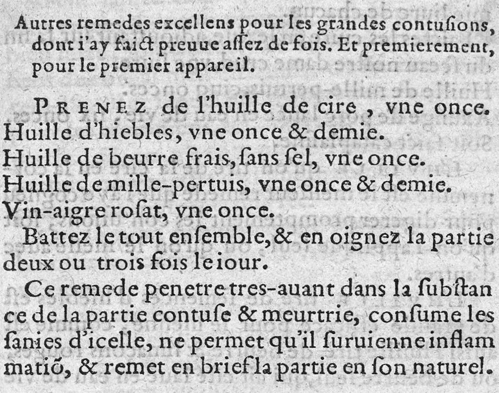 An illustration from Traicté de la nature et curation des playes de Pistolle, Harquebouse, et autres bastons à feu. Ensemble, les remedes des combustions et bruslures externes et superficielles : Par J. Le P. Docteur en Medecine, 1569, leaf 90