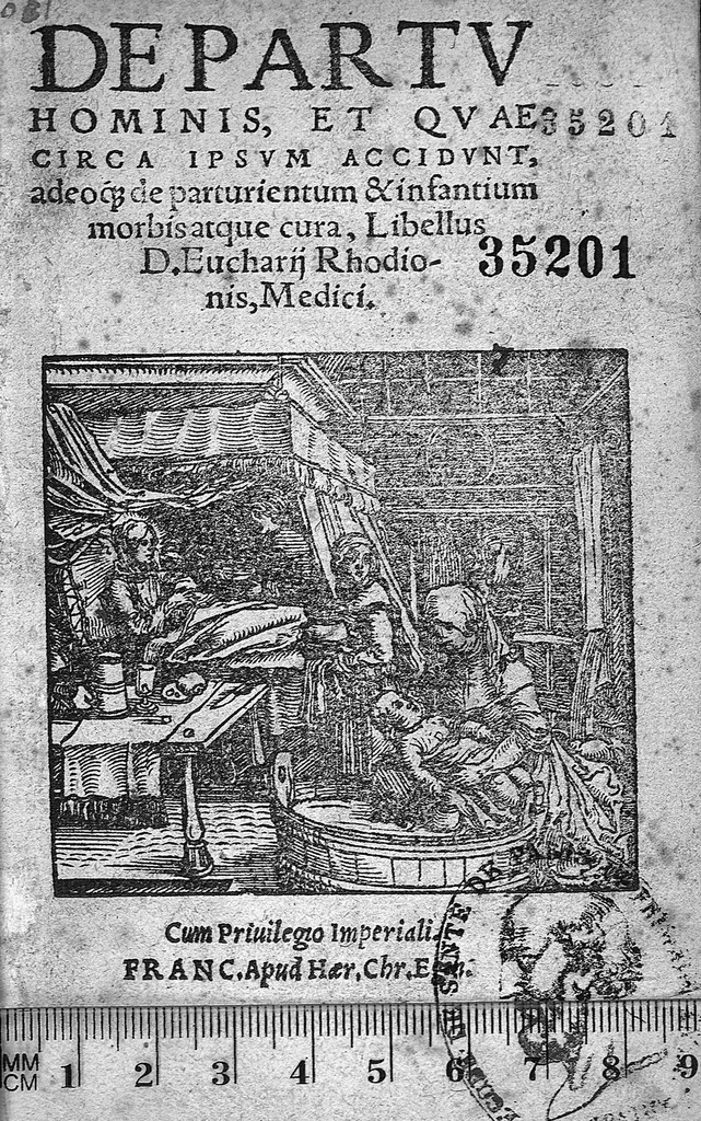 An illustration from De partu hominis, 1556, leaf 0