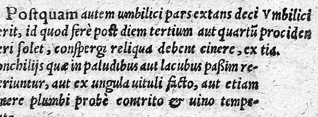 An illustration from De partu hominis, 1556, leaf 90