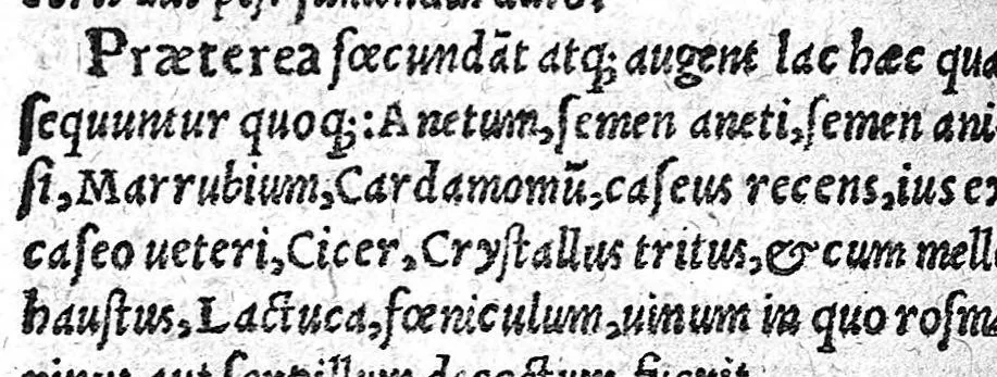 An illustration from De partu hominis, 1556, leaf 99