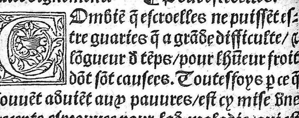 An illustration from L'Entretenement de vie, summairement composé par maistre Jehan Goeurot,... Item ung régime singulier contre peste approuve sur plusieurs. Item une Table pour plus facilement trouver le contenu dudict livre. Nouvellement Imprime, 1530, leaf 19