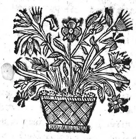 An illustration from Le Medecin charitable enseignant la maniere de faire & preparer en la maison...les remedes propres à toutes maladies, 1667, leaf 133