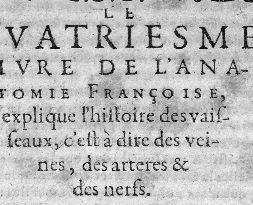 An illustration from L'Anatomie françoise en forme d'abregé., 1642, leaf 138