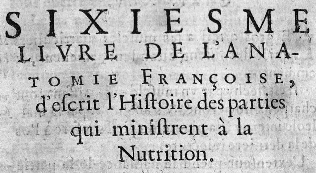 An illustration from L'Anatomie françoise en forme d'abregé., 1642, leaf 255
