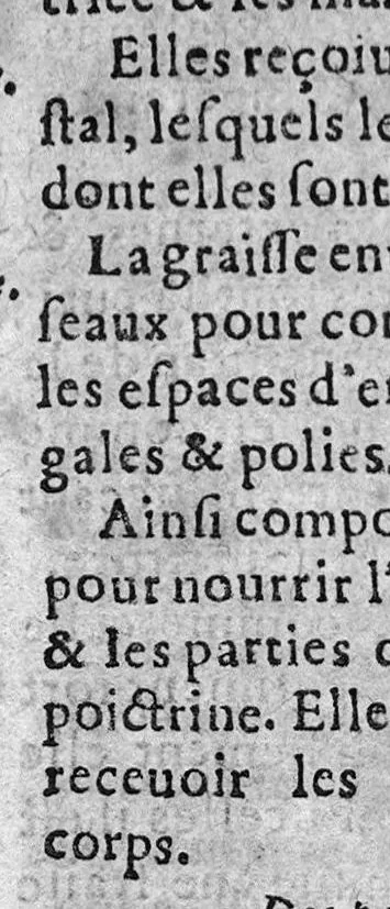 An illustration from L'Anatomie françoise en forme d'abregé., 1642, leaf 395
