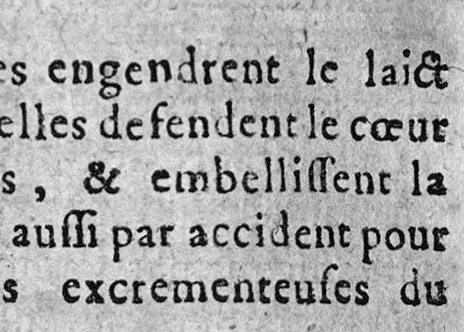 An illustration from L'Anatomie françoise en forme d'abregé., 1642, leaf 395