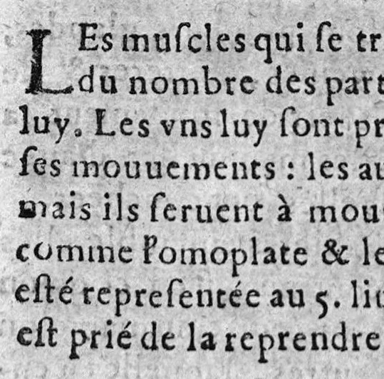 An illustration from L'Anatomie françoise en forme d'abregé., 1642, leaf 395