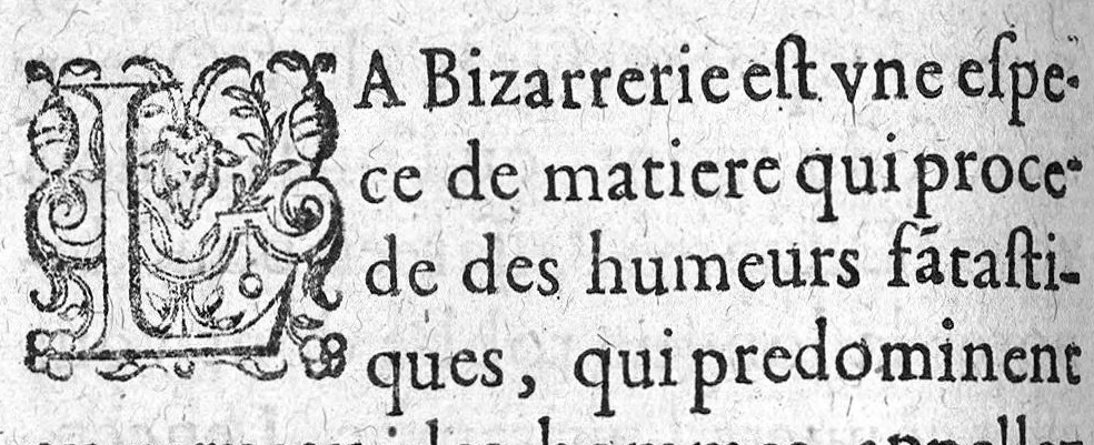 An illustration from L'Hospital des fols incurables..., 1620, leaf 185