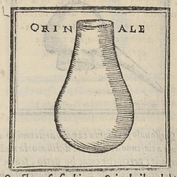 An illustration from De Capricci medicinali libri quattro. Di nuovo dall'istesso autore in molti luoghi, di secreti importantissimi, ampliati. Con molta diligenza revisti, corretti, & ristampati, 1573, leaf 447