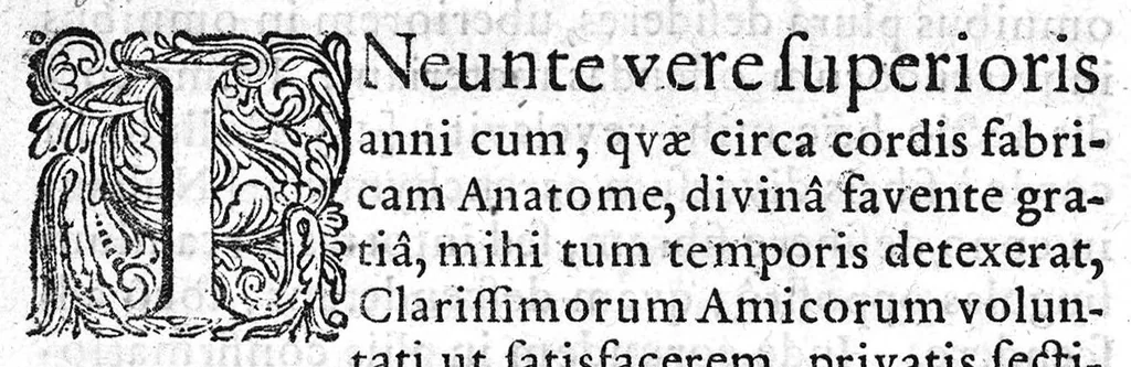 An illustration from Nicolai Stenonis de Musculis et glandulis observationum specimen, cum epistolis duabus anatomicis, 1664, leaf 6