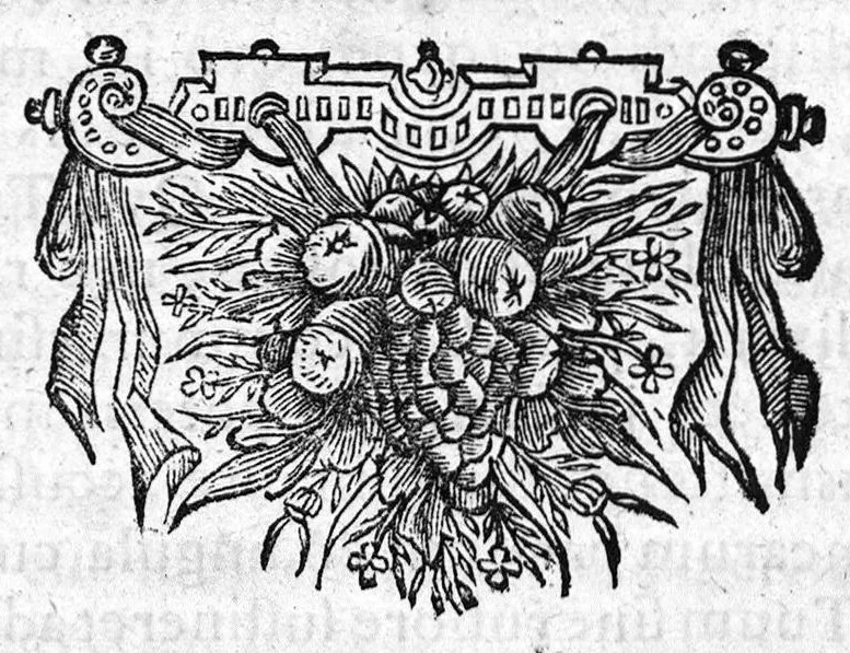 An illustration from Nicolai Stenonis de Musculis et glandulis observationum specimen, cum epistolis duabus anatomicis, 1664, leaf 75