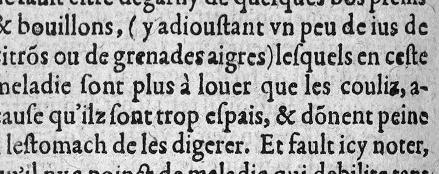 An illustration from Traité de la peste, auquel est amplement discouru de l’origine, cause, signes, preservation et curation d’icelle. Avec les vertus et facultez de l’electuaire de loeuf : duquel jadis souloit user ce grand Empereur Maximilien. Par Nicolas Houel, apoticaire a Paris, 1573, leaf 73