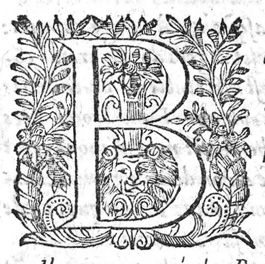 An illustration from Les merveilles des bains naturels et des estuves naturelles de la ville de Digne en Provence, divisées en deux parties, la théorie et la pratique, avec un traicté de leurs serpents sans venim,..., 1620, leaf 198