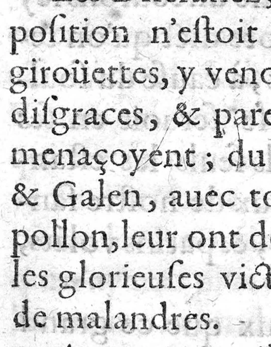 An illustration from Les merveilles des bains naturels et des estuves naturelles de la ville de Digne en Provence, divisées en deux parties, la théorie et la pratique, avec un traicté de leurs serpents sans venim,..., 1620, leaf 20