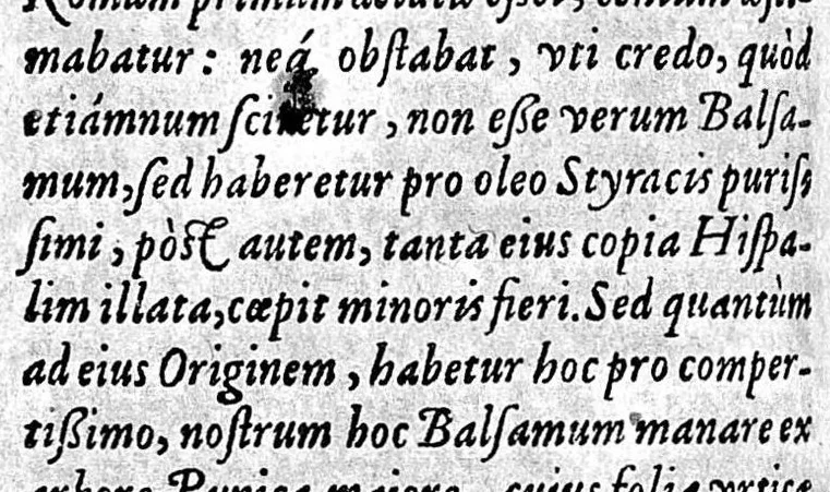 An illustration from Aromatum, fructuum, et simplicium aliquot medicamentorum ex India utraque, et Orientali et Occidentali, in Europam delatorum, quorum jam est usus plurimus, historia brevis ... Conscripta primum Hispanice ... nunc Latine edita opera et ac studio Israelis Spachii Med. D. & Prof. Argentineusis cum notis marginalibus atque indice, 1601, leaf 210
