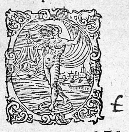 An illustration from Empirica, sive Medicamenta Varia, Experientia Diuturna Comprobata Et Stabilita, Contra Plerosq[ue] omnes corporis humani morbos, tam internos, quam externos : in duos libros distributa / Sagacißime primum inventa, & adhibita prudentißime a D. Joanne Stockero, Medico olim Ulmensi celeberrimo: iam recens in lucem edita, Opera & studio Tobiae Dornkreilii Doctoris Medici Lunaeburgensis Reip. ordinarii, 1601, leaf 0