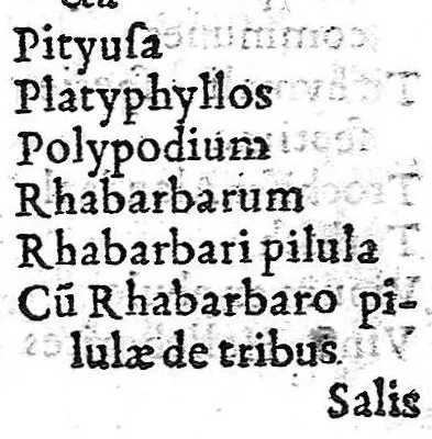 An illustration from De medicamentis tam simplicibus quam compositis catharticis, quae unicuique humori sunt propria, tractatus insignis, 1555, leaf 44